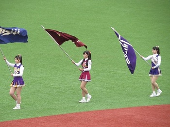 東京六大学野球　チアリーダー